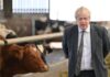Britský premiér Boris Johnson na farmě