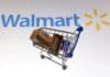Walmart v USA zpomalil nejvíc za šest let. Akcie po výsledcích klesly